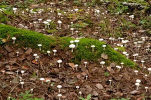 _DSC6225.webp