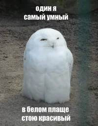 56064.webp 56064.webp