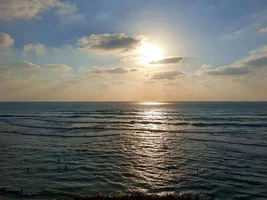2375972.webp