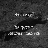 ce8ffa633ab15818df31e3de90f60378.webp