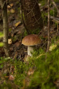 _DSC9005.webp