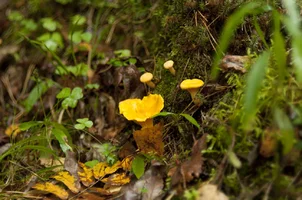 _DSC9012.webp