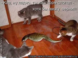 1789236964874.webp