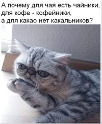 b1217dce4d6a644aff0ae7cd8b560e3698b37156464fb0fed5f090f4afeec8d0_1.webp