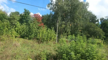 IMG_7468-из окна.webp IMG_7468-из окна.webp