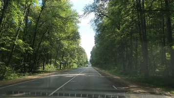 IMG_7494-Дима везет.webp IMG_7494-Дима везет.webp