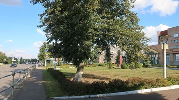 IMG_7514-парк.webp