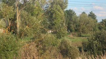 IMG_7550-лошадь спряталась.webp
