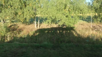 IMG_7560-тень автобуса.webp
