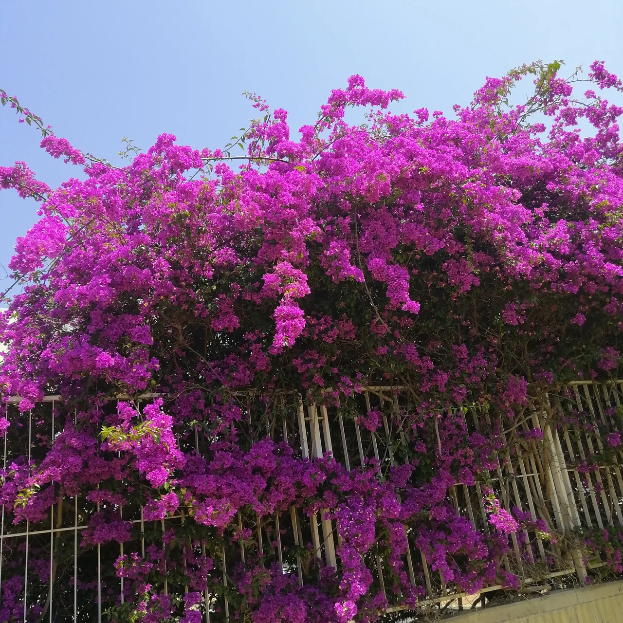 Тема 'Островок'