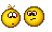 :cat13: